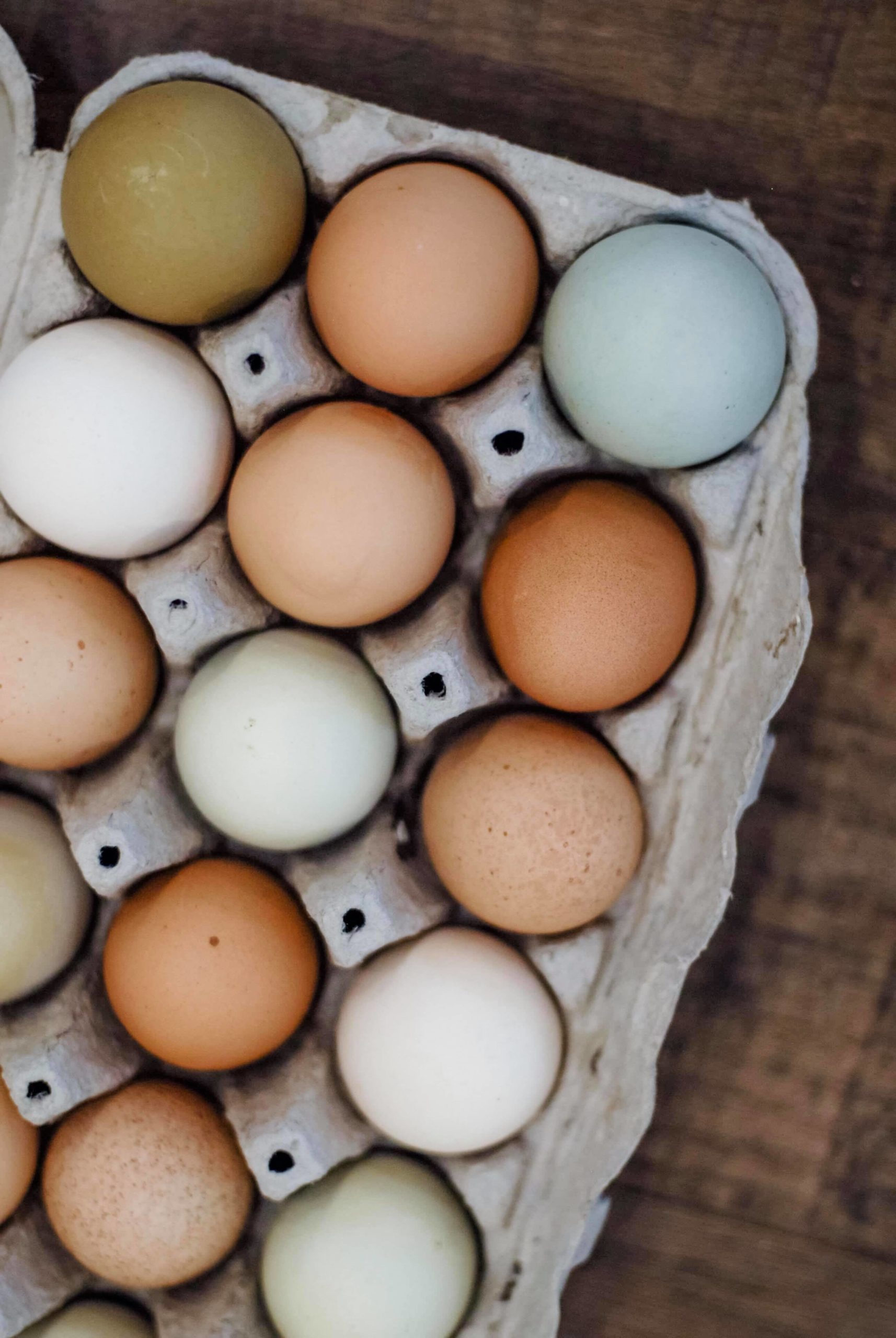 eggs