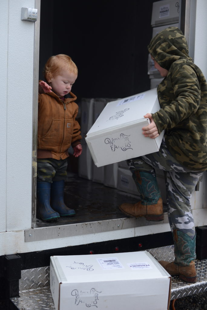 shipping perishable meat ranch kids helping to ship our meats